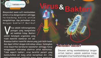 Virus dan Bakteri